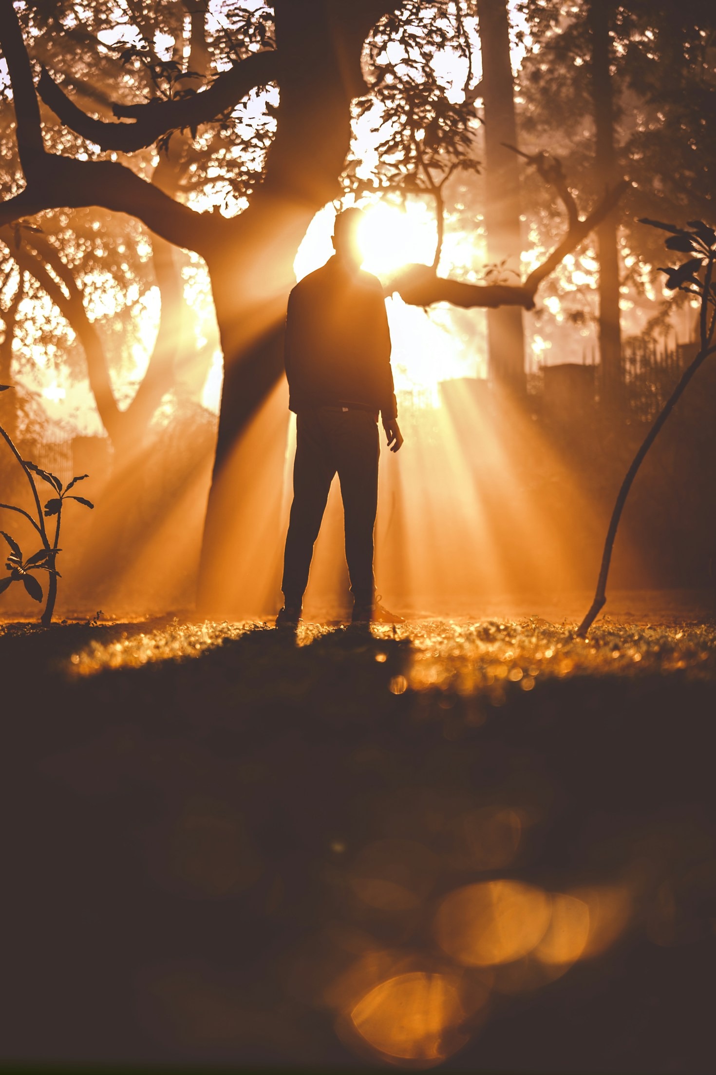 Overcoming Obstacles with Courage and Support